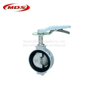Gg25 Hand Operated Disc Type Dn150 Butterfly Valve thumbnail-5