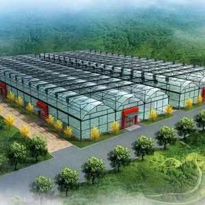 Plastic Film Greenhouse for Tomato/Cucumber/Lettuce Planting thumbnail-1