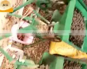 Automatic Lotus Seed Screening Grading Processing Line Lotus Seed Nut Separator Peeler Machine thumbnail-1