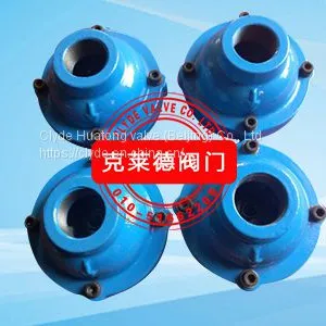 CLYDE Check Valve 1” A2969 thumbnail-2