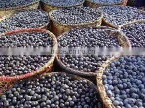 ACAI POWDER thumbnail-1