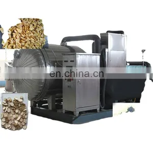 10m2 100-130KG Freeze Dryer Dehydrator Cum Freeze Dryer Freeze Dryer and Dehydrator thumbnail-1