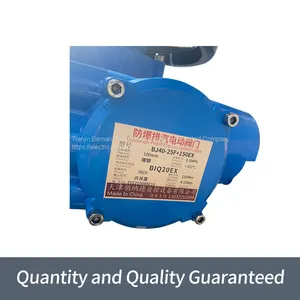 Bernard Air Valve Actuator BJ40-25F+150EX Explosion-proof Exhaust Electric Valve thumbnail-5