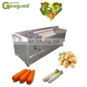 Quick Freezing Vegetable Tpye Tunnel Freezer Machines Frozen Vegetable And Fruit Production Line thumbnail-4