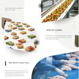 Directly Touch Food Grade Belt. thumbnail-3