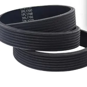 AUTO RIBBED BELT thumbnail-1