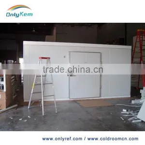 China Commercial Freezer for Fish and Chicken thumbnail-6