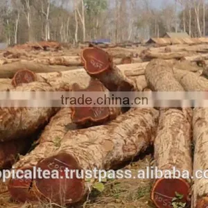 Round Logs Cam xe Pyinkado Cambodia Wood thumbnail-3