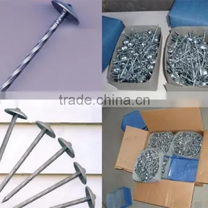 Galvanized Roofing Nail thumbnail-2