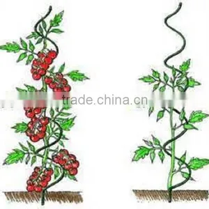 China Factory Directly Supply Metal Climbing Plant Supports thumbnail-2