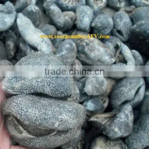Ball Sea Cucumber Vietnam, Pingpong Fish, Holothuria Spp thumbnail-3