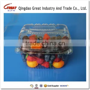 Disposable Blister Clamshells Punnet Fruit Packaging Tray for Grape 1000 Gram thumbnail-3