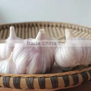 2016 NEW CROP GARLIC thumbnail-2