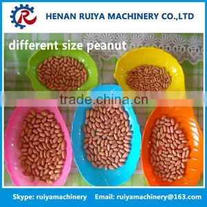 Peanut Kernal Grading | Sorting Machine Nut Fruit Grading | Sorting Machine thumbnail-2