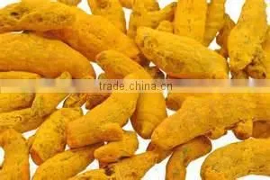 Turmeric Finger thumbnail-2
