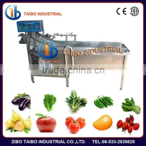 Most Popular: Professional Air Bubble Fruit Washer thumbnail-1