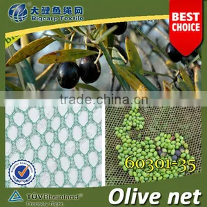 (factory)Olive Harvesting Nets for Agriculture 35GSM ( 60301-35) thumbnail-1