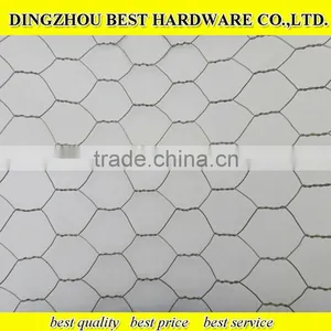 Galvanized Chicken Wire Netting thumbnail-1