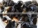 Black Wood Ear Extract 10% Polysaccharides thumbnail-1
