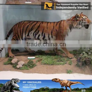 My-dino Life Size Animatronic Tiger Animal Statues thumbnail-1