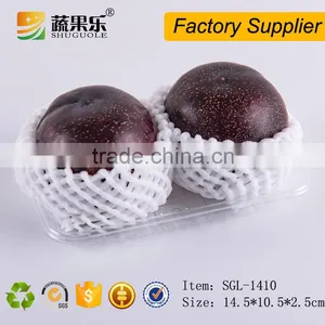 Tray Type and Blister Process Type Disposable Fruit Tray thumbnail-1