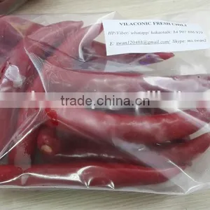 FRESH CHILI thumbnail-5