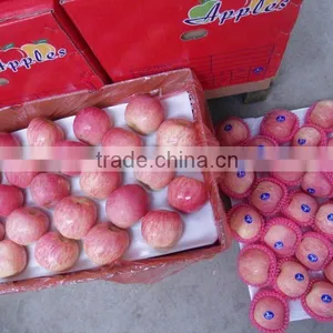Fuji Apple thumbnail-1