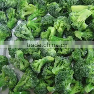 IQF Frozen Vegetable Broccoli in Carton thumbnail-1