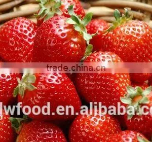 IQF Frozen Whole Strawberry-AM 13 Above 35mm thumbnail-1