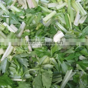 Industrial Vegetable Cutting Machine thumbnail-5