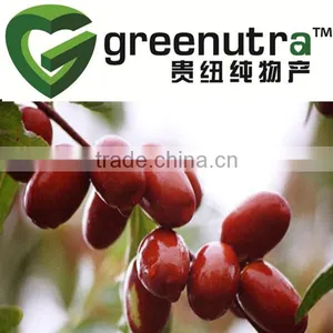 Fructus Jujubae Extract thumbnail-1