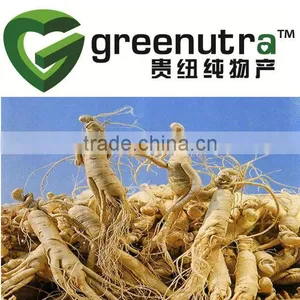 Ginseng Root thumbnail-1