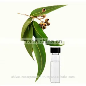 Pure Eucalyptus Oil for Wholesale thumbnail-2