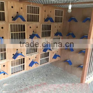 Cheap Plastic Pigeon Perch thumbnail-5
