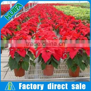 2016 Hot Sale Commercial Greenhouse Growing Benches Tables in USA thumbnail-4