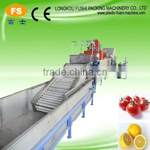 Fruit Washing and Waxing Machine thumbnail-4