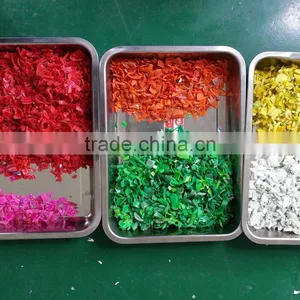 Intelligent Multifunction Color Sorter With Advanced Technology thumbnail-4
