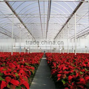 Multi Span Greenhouses thumbnail-1