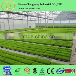 Sell Used Greenhouses Tunnel Greenhouses and Prices thumbnail-3