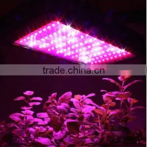 Full Spectrum LED Grow Light for Plants Grow Light For Hydro Plant Growth thumbnail-2