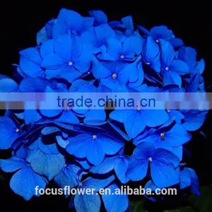 Real Touch Dark Blue Hydrangea Wholesale thumbnail-1