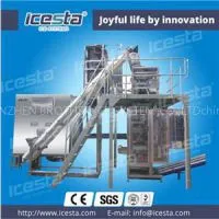 Tube Ice Machine With Ice Packing Machine 10t/24hrs thumbnail-1