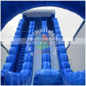 PVC High Quality Water Slide Symphony Blue Kids Inflatable Slide Wholesale Giant Water Inflatable Slide for Adult thumbnail-1
