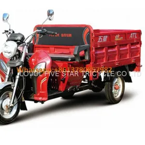 Gasoline Tricycle Cargo Loader Lovol Three Wheeler Mali Ethiopia Ghana Bukina Faso Tanzania Kenya Senegal Togo Benin Nigeira Mauritania Angola Burundi Chad Cameroon C ô te D'Ivoire Gabon Guinea Mozambique Rwanda Congo Uganda Zimbabwe thumbnail-1