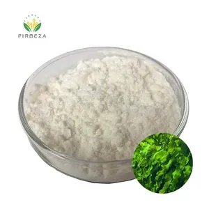 High Quality Factory Price Brown Seaweed Brown Algae Extract Powder 95% Fucoidan thumbnail-1