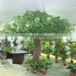 Newest High Quality Best Decorative Artificial Banyan Tree,fake Ficus Tree on Sale thumbnail-2