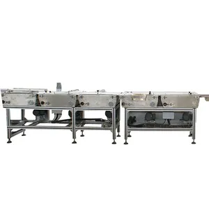 Candy Chocolate Single & Double Twist Packing Machine thumbnail-2