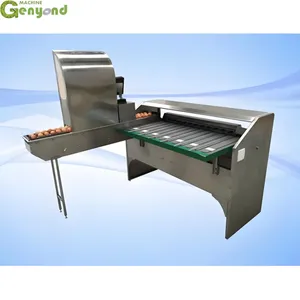 Automatic Egg Grading Machine Egg Grader Automatic Chicken Egg Sorting Machine thumbnail-2
