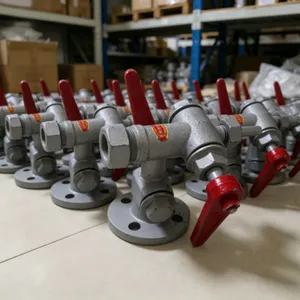 Zhibang Marine Steam Pressure Reducing Valve Cast Steel Body Flanged DN15-DN100 PN1.6-6.4MPa High Temp thumbnail-1
