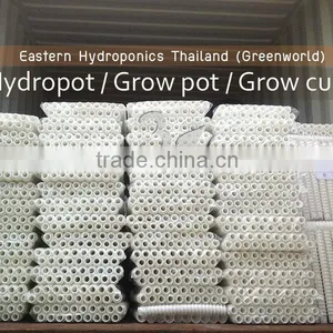 Export Grow Cup thumbnail-1